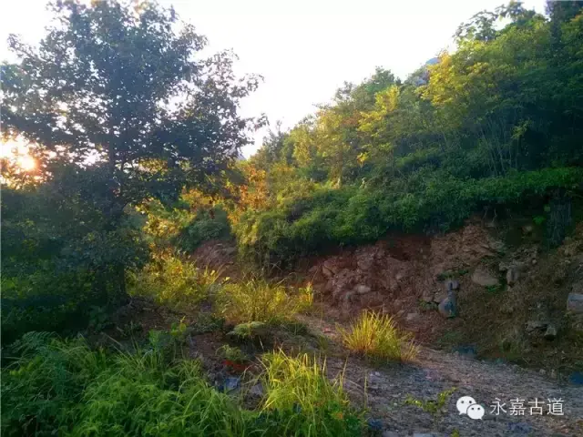 温州永嘉西叶岭古道,乡愁依旧