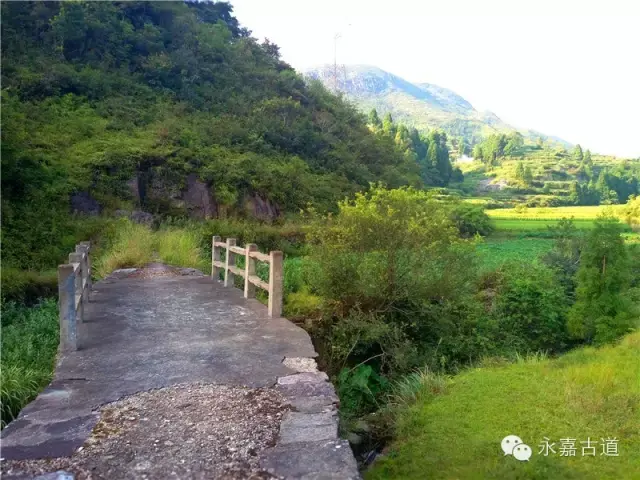 温州永嘉西叶岭古道,乡愁依旧