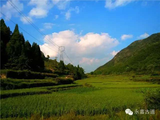 温州永嘉西叶岭古道,乡愁依旧