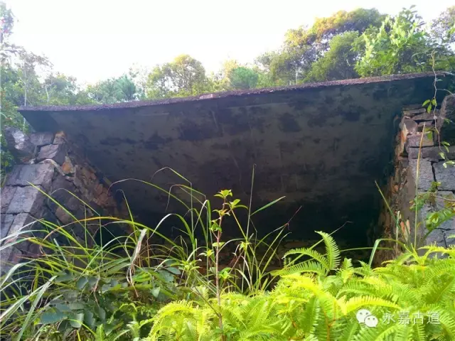 温州永嘉西叶岭古道,乡愁依旧