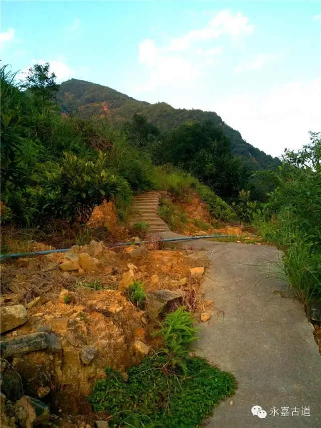 温州永嘉西叶岭古道,乡愁依旧
