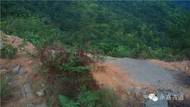 温州永嘉西叶岭古道,乡愁依旧