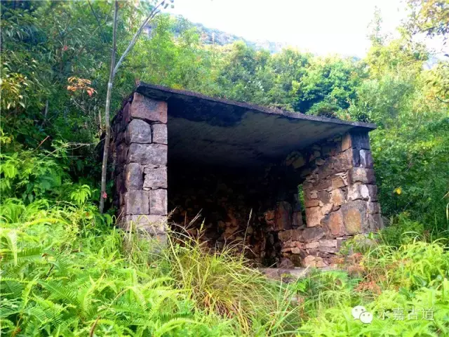 温州永嘉西叶岭古道,乡愁依旧