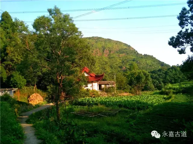 温州永嘉西叶岭古道,乡愁依旧
