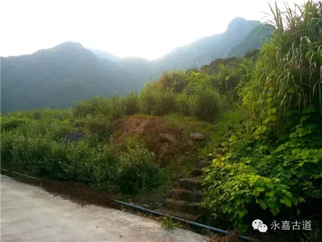温州永嘉西叶岭古道,乡愁依旧
