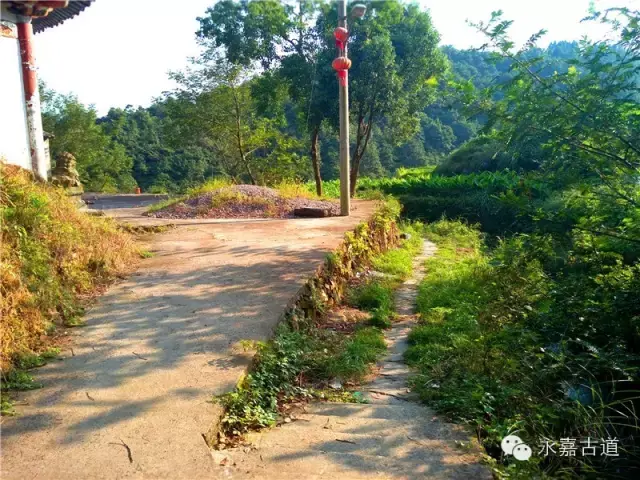 温州永嘉西叶岭古道,乡愁依旧