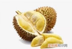 榴莲是什么味道