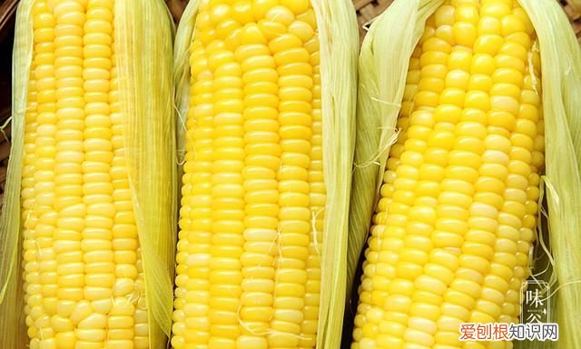 煮玉米,用清水是“外行”,多加2样东西,玉米香甜软糯,真实用