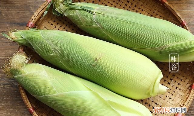 煮玉米,用清水是“外行”,多加2样东西,玉米香甜软糯,真实用