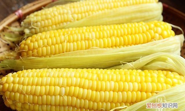 煮玉米,用清水是“外行”,多加2样东西,玉米香甜软糯,真实用