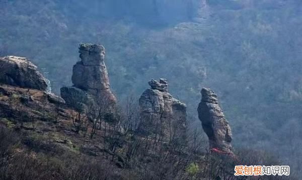 不辞青山 相随与共的意思