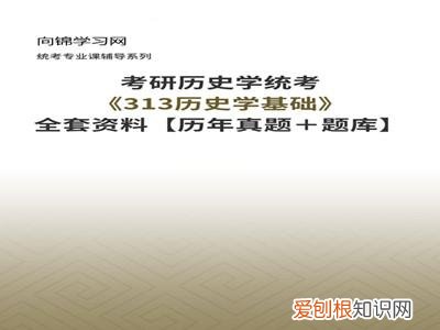 313历史学基础