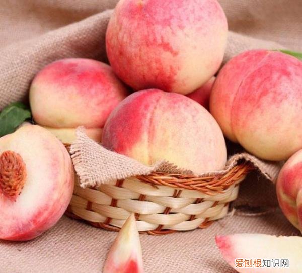 刚怀孕吃什么好对胎儿有好处