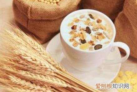 刚怀孕吃什么好对胎儿有好处