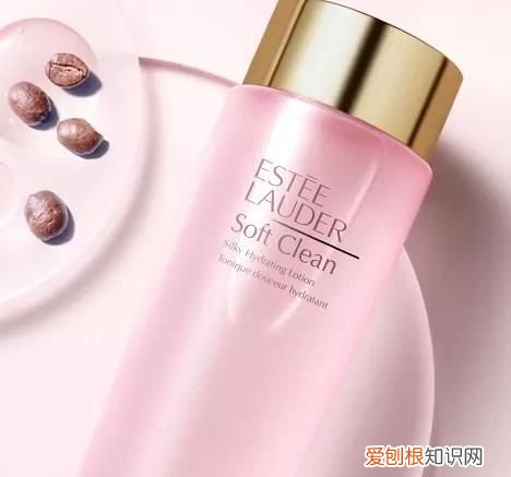 雅诗兰黛粉水真假辨别,雅诗兰黛粉水真假辨别最新