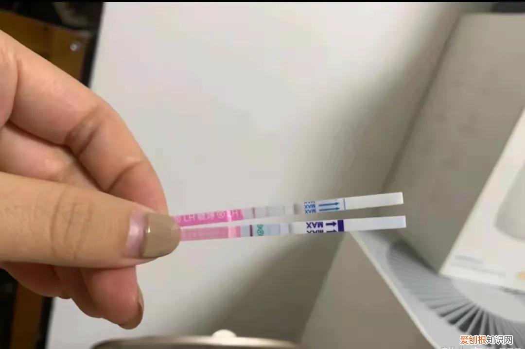 大卫早早孕试纸?