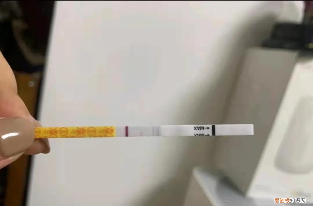 大卫早早孕试纸?