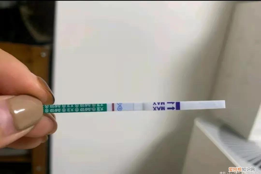 大卫早早孕试纸?