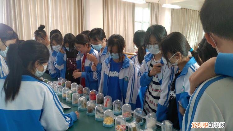 东华初级中学生态园校区