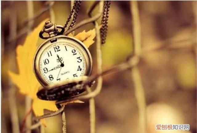 妈妈的微信运动步数是多少,微信运动怎么计步数