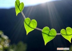 妈妈的微信运动步数是多少,微信运动怎么计步数