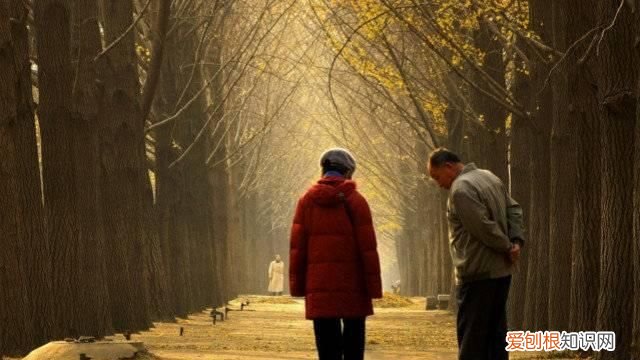 妈妈的微信运动步数是多少,微信运动怎么计步数