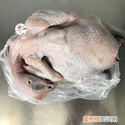毛豆烧鸡