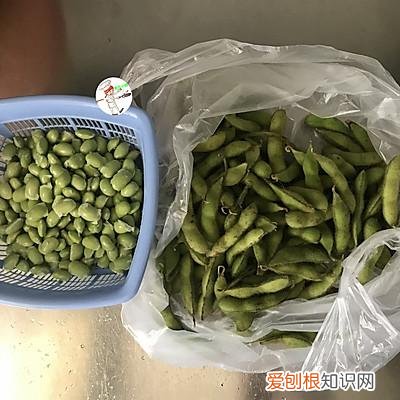 毛豆烧鸡