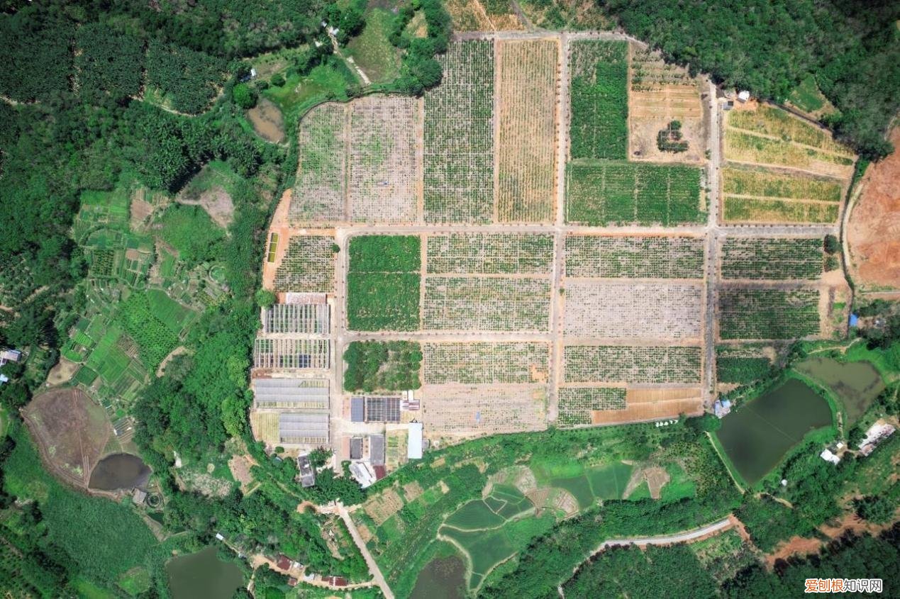 海南大学儋州校区