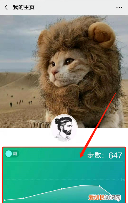 微信怎么看步数路线,苹果手机怎么看微信运动轨迹
