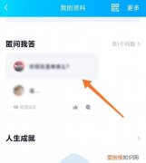 qq匿问我答有访客记录吗