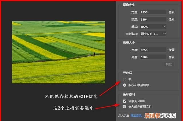 后期辛辛苦苦修好的图片,别在看似简单的最后输出时搞砸了