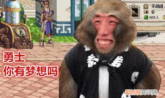 大马猴东北啥意思，大马猴是什么意思