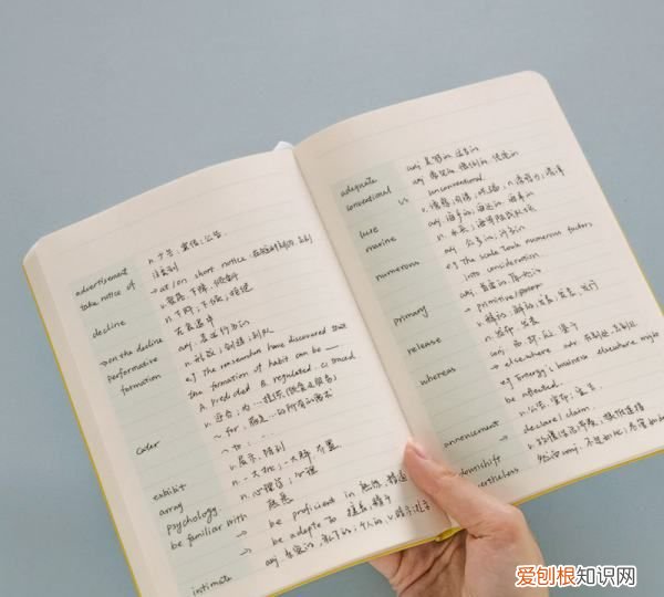 大学生怎么学习英语,大学生怎么学好英语方法技巧