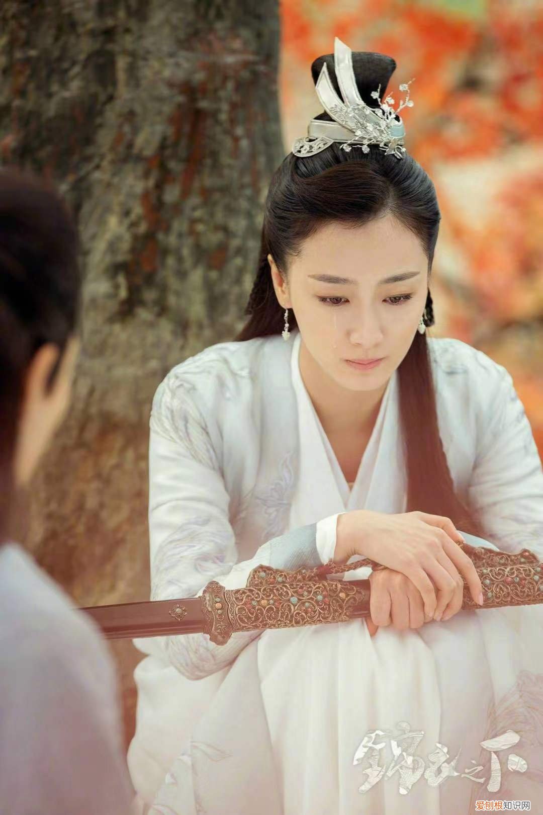 步步惊心玉檀对若曦是真心的吗？