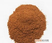 红棕色粉末可能是什么物质