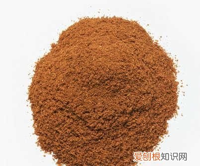 红棕色粉末可能是什么物质