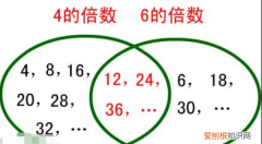 o是任何数的倍数，0不是任何数的倍数