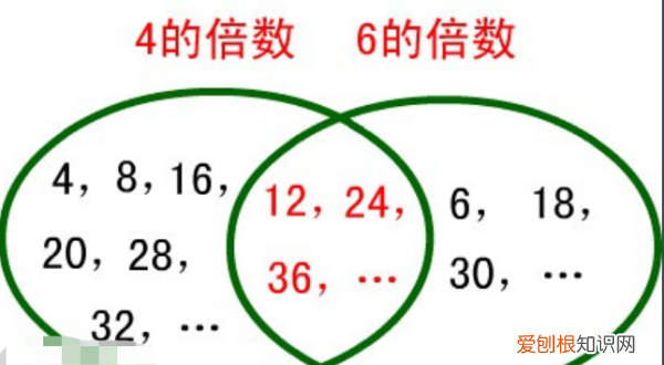 o是任何数的倍数，0不是任何数的倍数