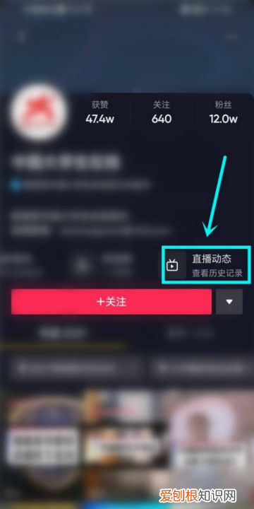 抖音直播怎么看回放,抖音如何查看主播的直播回放视频