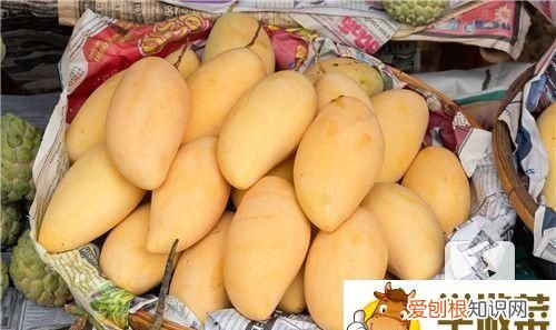 芒果核周围肉黑能吃吗,种芒果核时芒果核外面的外壳要弄去