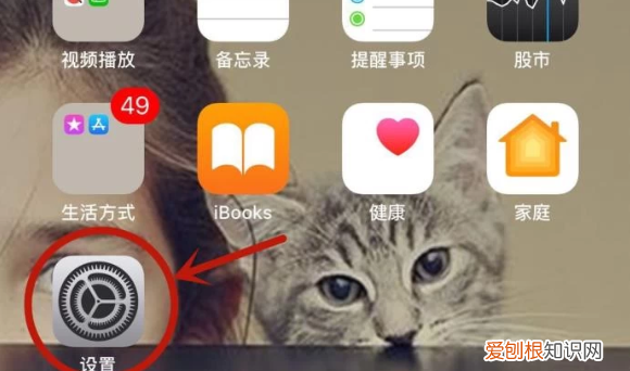 苹果手机怎样才可以静音,苹果手机怎么调静音模式