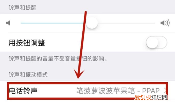 苹果手机怎样才可以静音,苹果手机怎么调静音模式