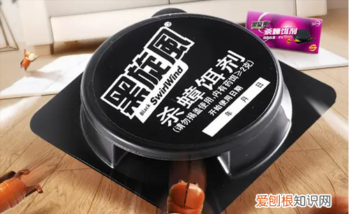 怎么治蟑螂最有效,怎么才能彻底灭掉蟑螂并防止再生