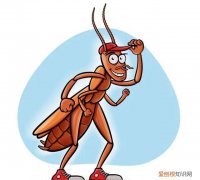 怎么治蟑螂最有效,怎么才能彻底灭掉蟑螂并防止再生