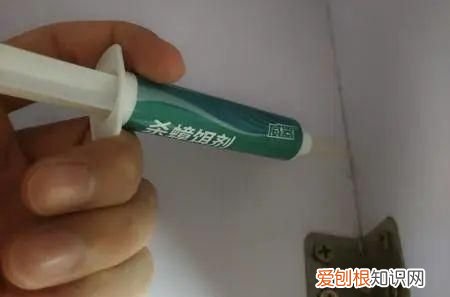 怎么治蟑螂最有效,怎么才能彻底灭掉蟑螂并防止再生