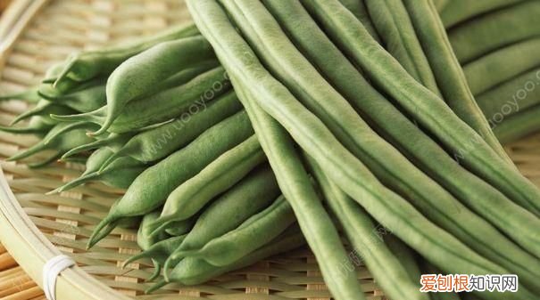 四季豆有斑点还能吃吗,四季豆上有铁锈斑点能吃