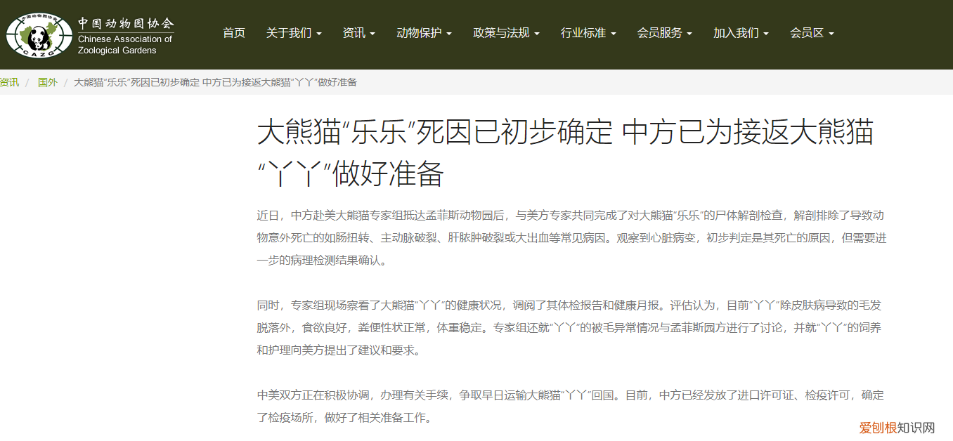 大熊猫“乐乐”死因已初步确定,等待病理检测结果