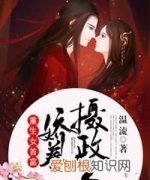 叶絮絮严玄亭小说叫什么名字