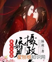 叶絮絮严玄亭小说叫什么名字